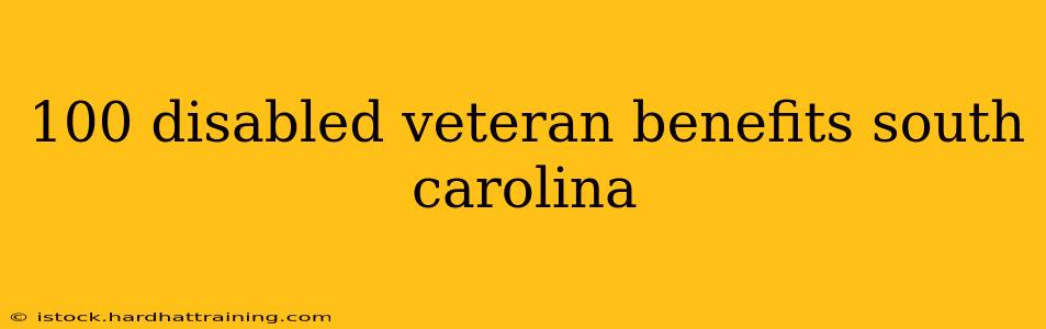 100 disabled veteran benefits south carolina