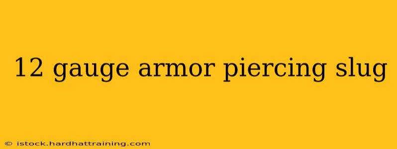 12 gauge armor piercing slug