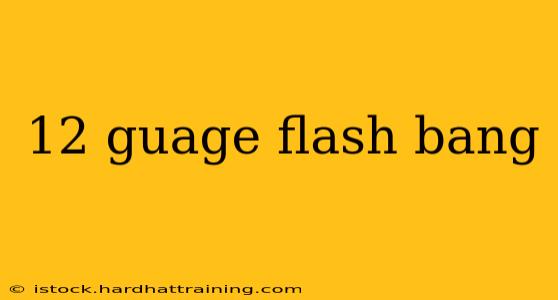 12 guage flash bang