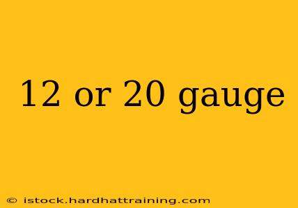 12 or 20 gauge