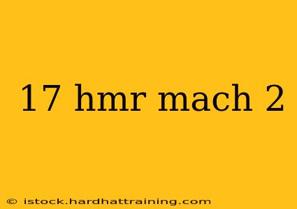 17 hmr mach 2
