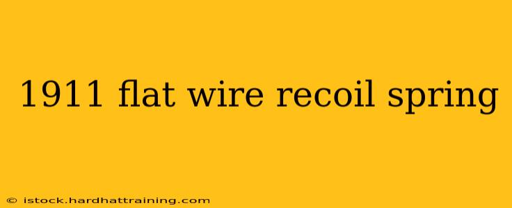 1911 flat wire recoil spring
