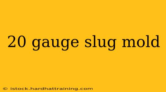 20 gauge slug mold