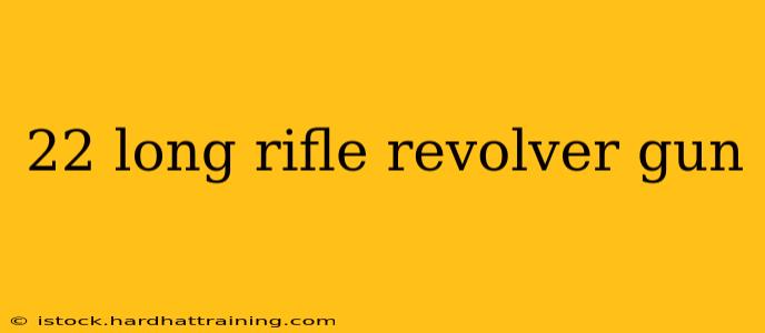 22 long rifle revolver gun