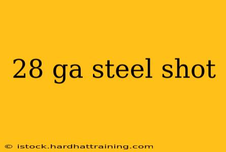 28 ga steel shot