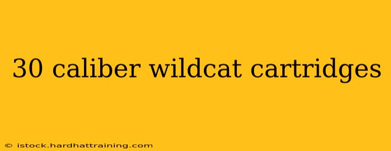 30 caliber wildcat cartridges