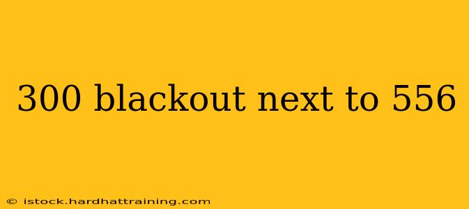 300 blackout next to 556
