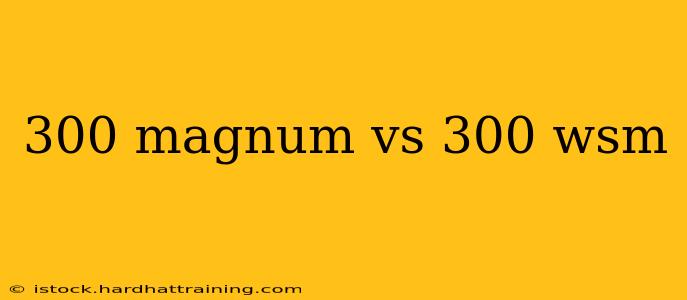 300 magnum vs 300 wsm