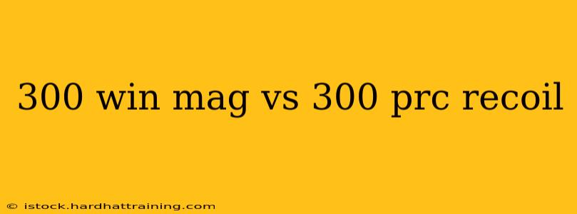 300 win mag vs 300 prc recoil