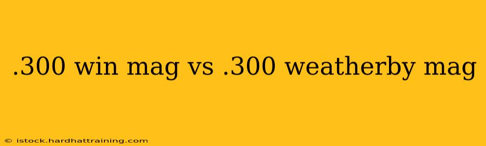 .300 win mag vs .300 weatherby mag
