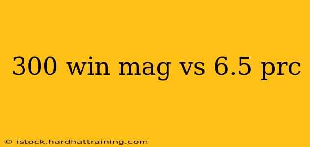 300 win mag vs 6.5 prc