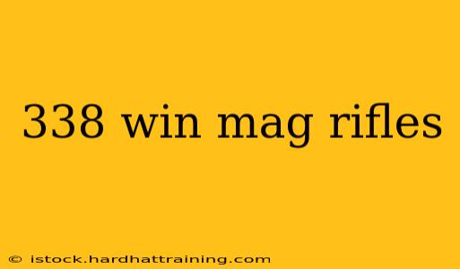 338 win mag rifles