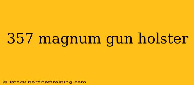 357 magnum gun holster