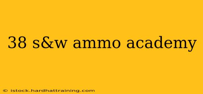 38 s&w ammo academy