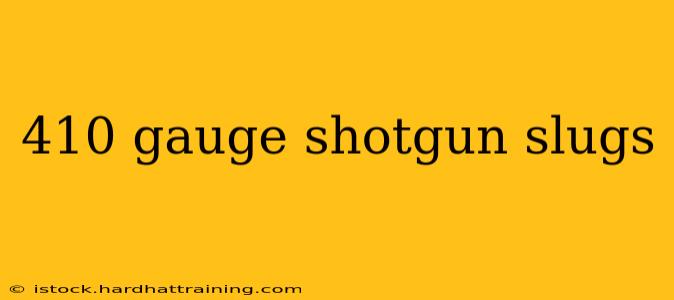 410 gauge shotgun slugs