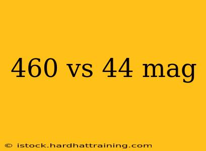 460 vs 44 mag