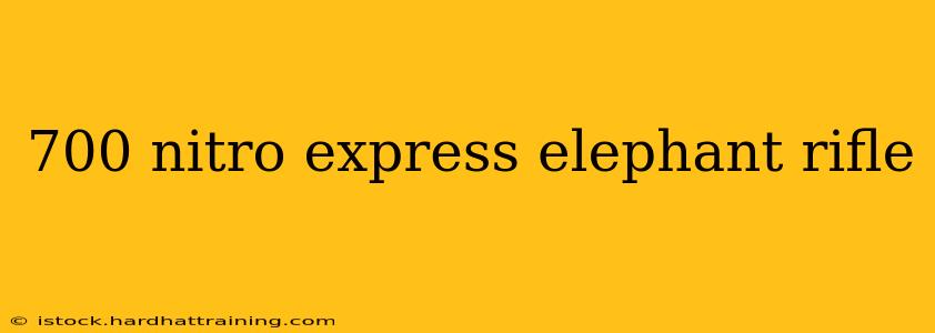 700 nitro express elephant rifle