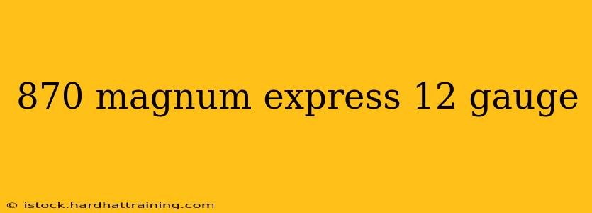 870 magnum express 12 gauge