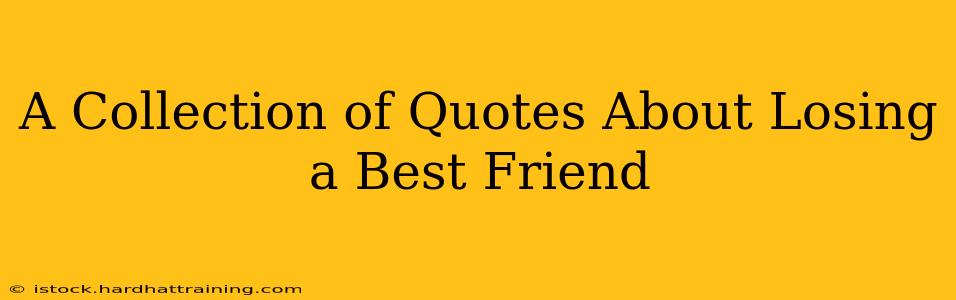 A Collection of Quotes About Losing a Best Friend