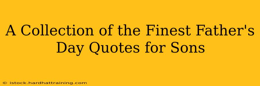 A Collection of the Finest Father's Day Quotes for Sons
