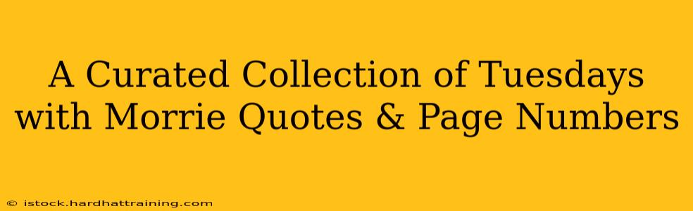 A Curated Collection of Tuesdays with Morrie Quotes & Page Numbers