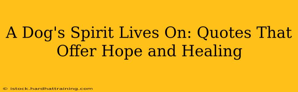 A Dog's Spirit Lives On: Quotes That Offer Hope and Healing