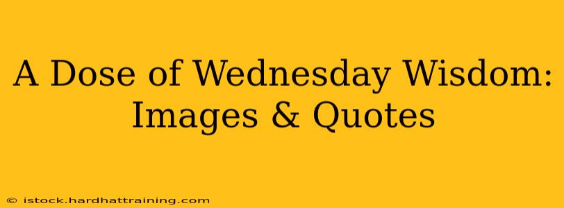A Dose of Wednesday Wisdom: Images & Quotes