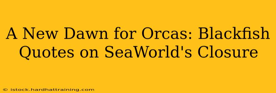 A New Dawn for Orcas: Blackfish Quotes on SeaWorld's Closure