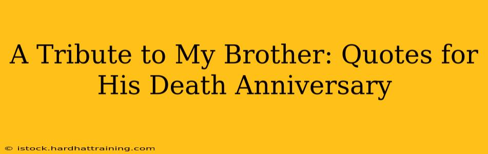 A Tribute to My Brother: Quotes for His Death Anniversary