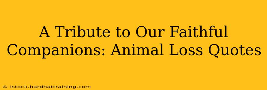 A Tribute to Our Faithful Companions: Animal Loss Quotes