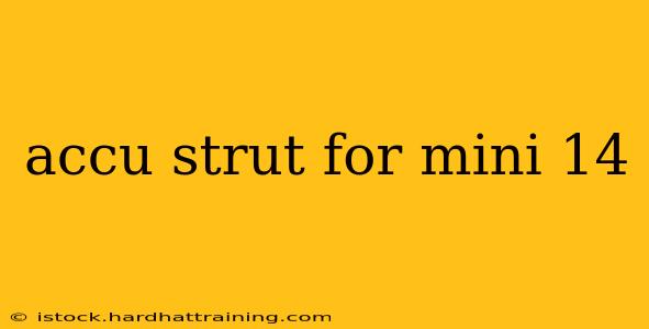 accu strut for mini 14