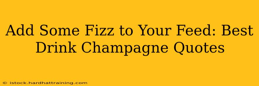 Add Some Fizz to Your Feed: Best Drink Champagne Quotes