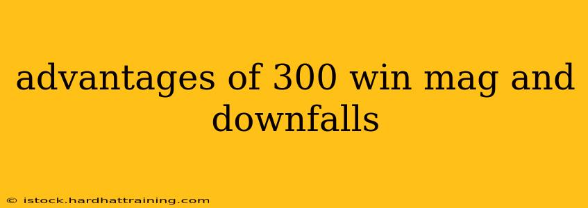 advantages of 300 win mag and downfalls