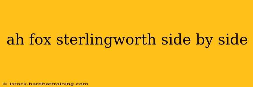 ah fox sterlingworth side by side