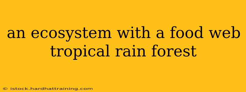 an ecosystem with a food web tropical rain forest