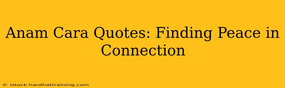 Anam Cara Quotes: Finding Peace in Connection