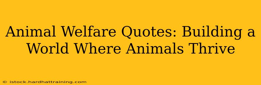 Animal Welfare Quotes: Building a World Where Animals Thrive