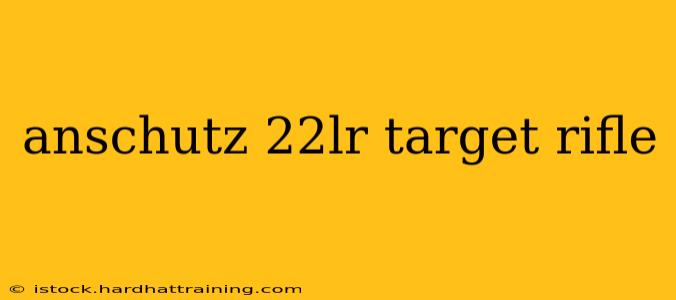 anschutz 22lr target rifle