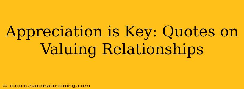 Appreciation is Key: Quotes on Valuing Relationships