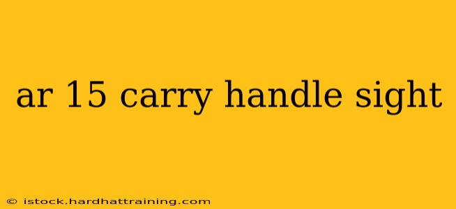 ar 15 carry handle sight