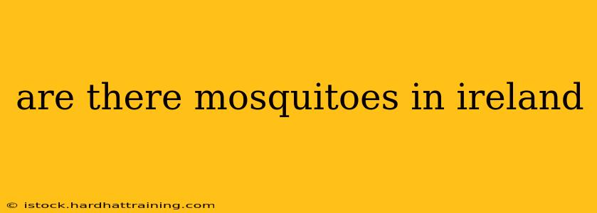 are there mosquitoes in ireland
