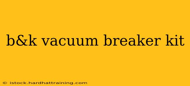 b&k vacuum breaker kit