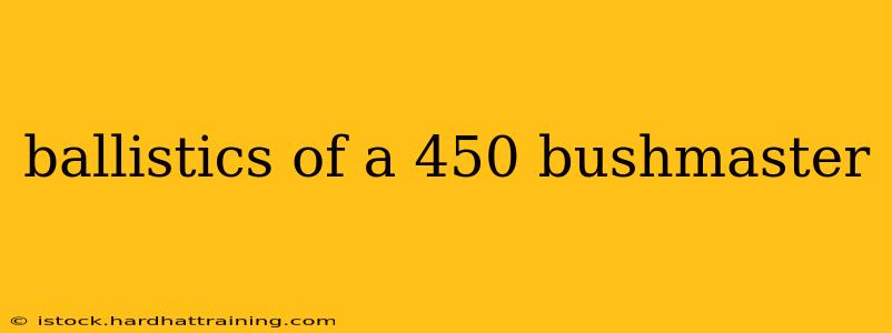 ballistics of a 450 bushmaster