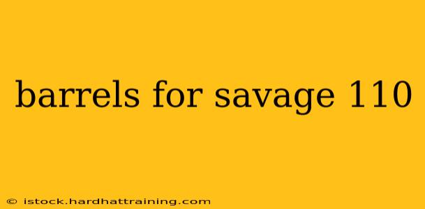 barrels for savage 110