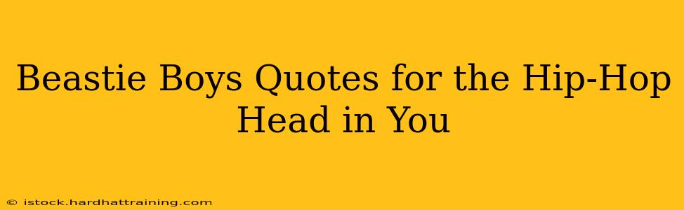 Beastie Boys Quotes for the Hip-Hop Head in You