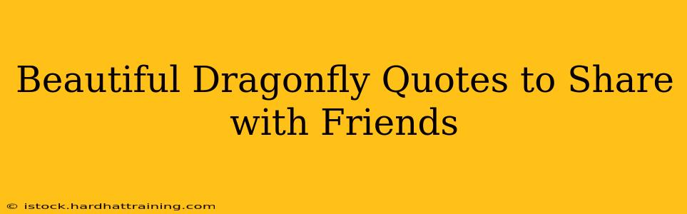 Beautiful Dragonfly Quotes to Share with Friends