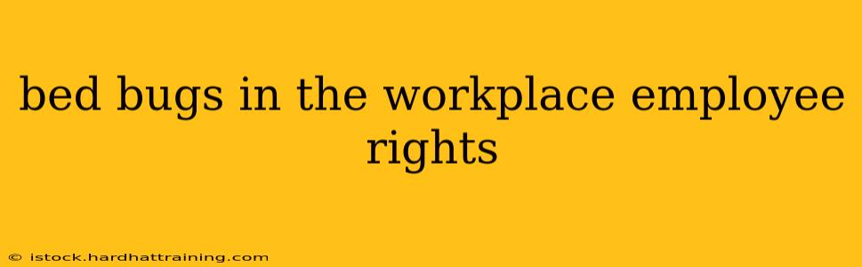 bed bugs in the workplace employee rights