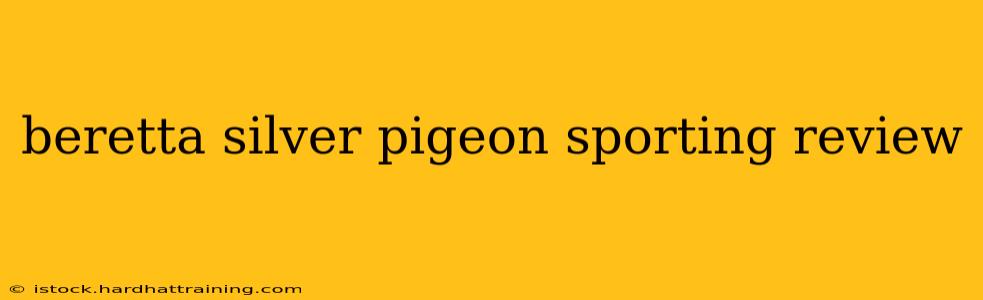beretta silver pigeon sporting review