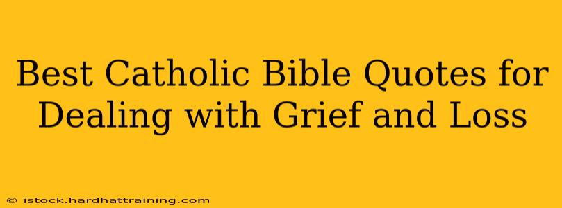 Best Catholic Bible Quotes for Dealing with Grief and Loss