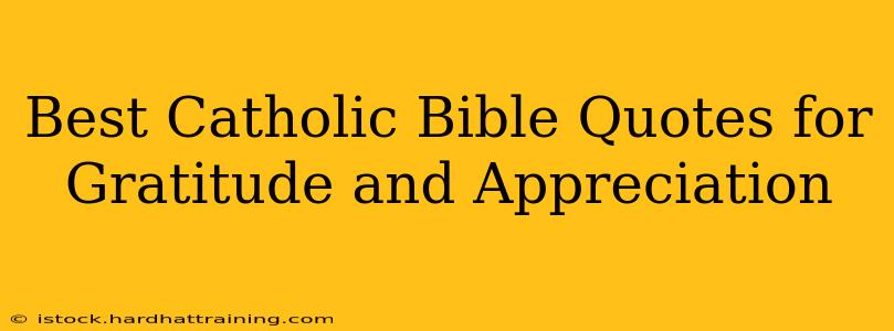 Best Catholic Bible Quotes for Gratitude and Appreciation
